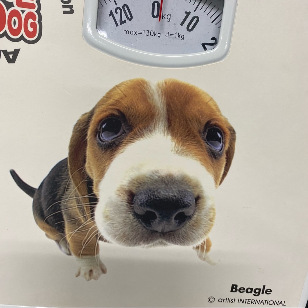 Beagle Bathroom Weight Scale The Dog Fun Beagle Face Scale - Picture 4 of 7